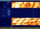 The Australian OTH radar "JORN" (FM CW burst mode) on 21.293 MHz with different sweep rates is seen in this screen shot by Wolf Hadel, DK2OM.